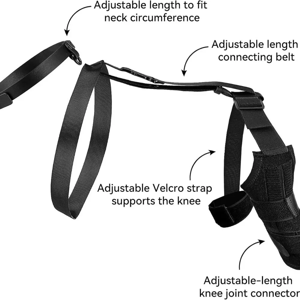Dog Knee Brace for Back Leg
